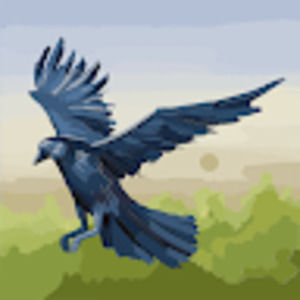 Meet your Posher, Kylee